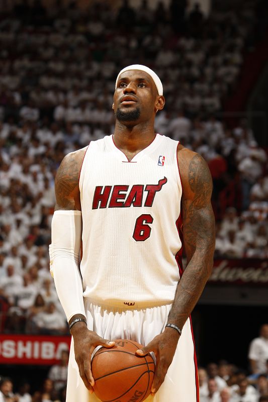 马匹的心理 马匹的心理